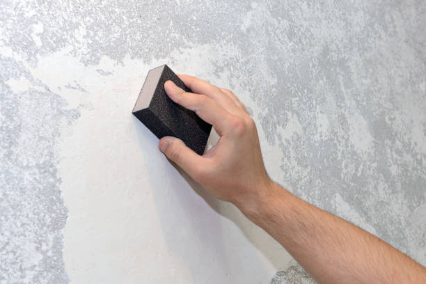 Best Biohazard Mold Removal  in Dilworth, MN