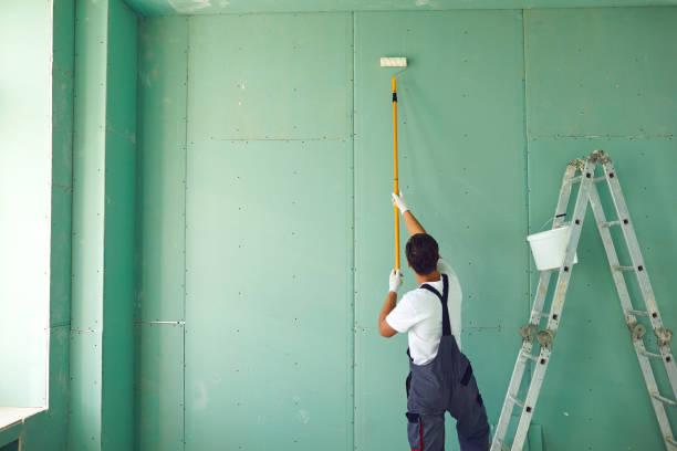Trusted Dilworth, MN Mold Removal Experts