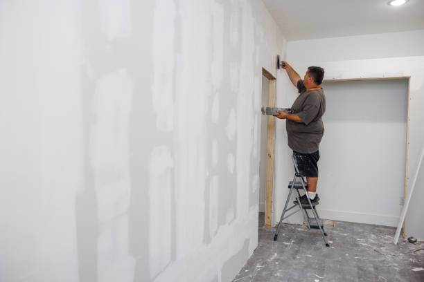 Best Water Damage & Mold Remediation  in Dilworth, MN
