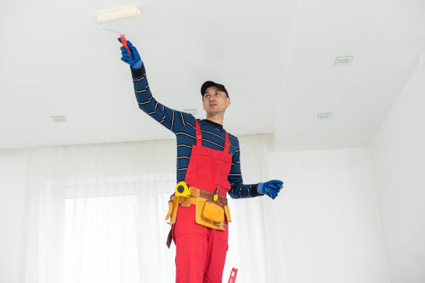 Best Real Estate Mold Inspection  in Dilworth, MN