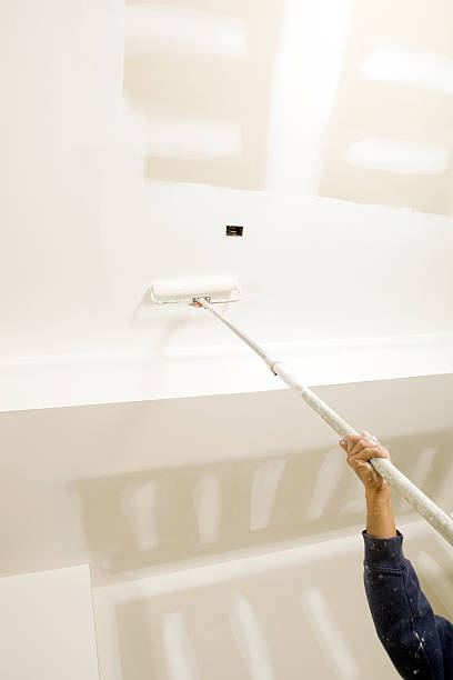 Best Mold Damage Restoration  in Dilworth, MN