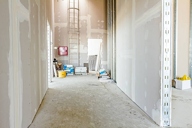 Best Mold Odor Removal Services  in Dilworth, MN