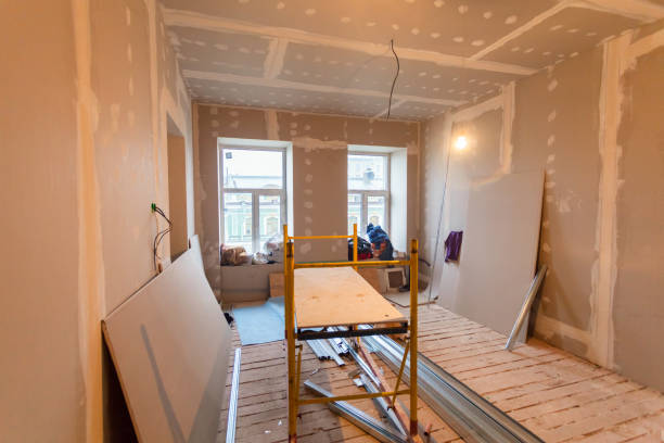 Best Mold Remediation for Healthcare Facilities  in Dilworth, MN