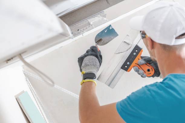 Best Mold Prevention Services  in Dilworth, MN